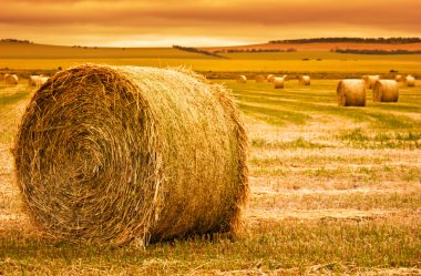 Hay Bale Farm clipart