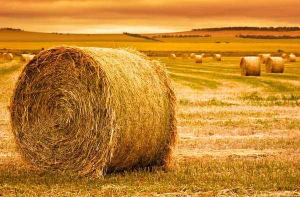 Fazenda Hay Bale — Fotografia de Stock