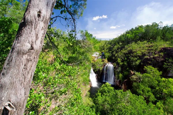 Florens faller — Stockfoto