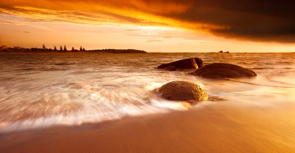 Mañana de oro — Foto de Stock