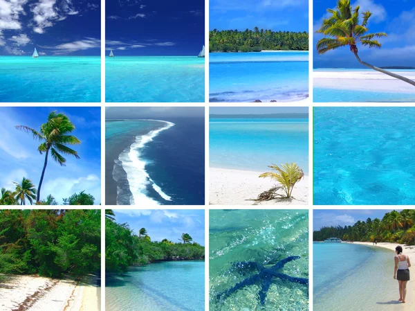 Tropiska montage — Stockfoto