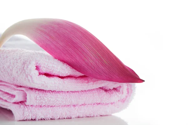 A pink towels with a lotus petal on white background and area fo — Stock Photo, Image