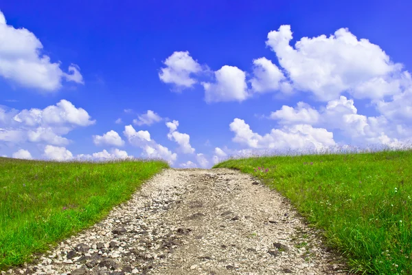 stock image Rural road on sunny day