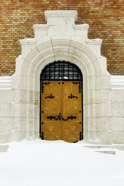 stock image Vintage wooden door with snow