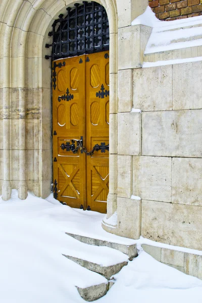 Vintage wooden door with snow — Stock Photo, Image