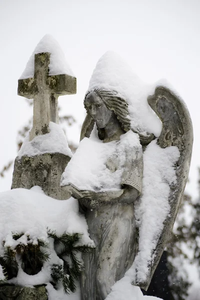 Close up of a stone angel statue covered with snow — Stock Photo, Image