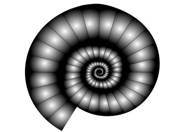 A nautilus in ethereal clipart