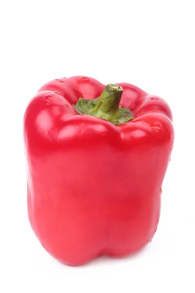Paprika süß — Stockfoto