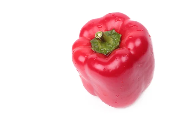 Single red pepper — Stock Photo, Image