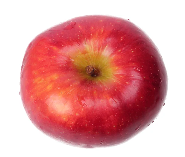 stock image Red apple