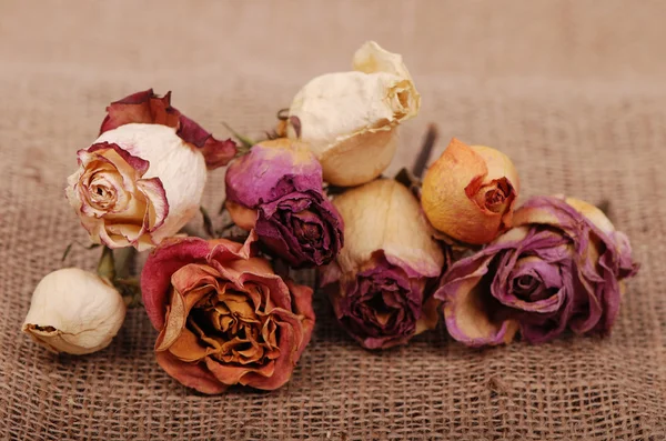 Trockener Rosenstrauß mit fallenden Blütenblättern auf Leinwand-Hintergrund — Stockfoto