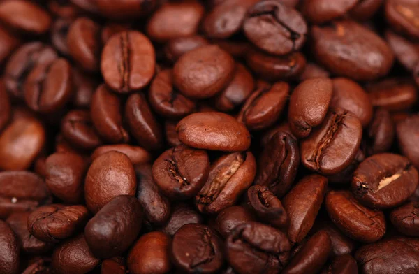 Grãos de café fundo — Fotografia de Stock
