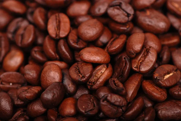 Kaffebönor i lågmäld — Stockfoto