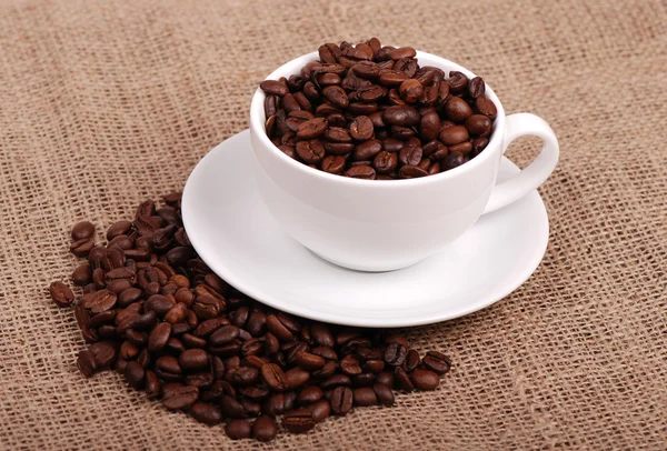 Природні кавових зерен — стокове фото
