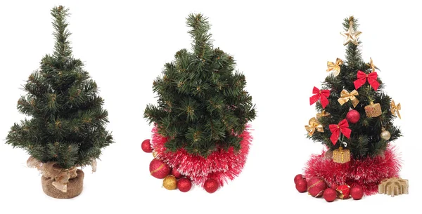 Conjunto de árvores de Natal — Fotografia de Stock