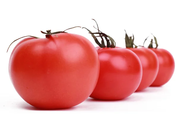 Набор помидоров — стоковое фото