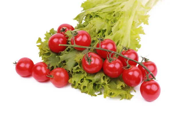 Wiśniowe pomidory na sałata sałatka — Zdjęcie stockowe