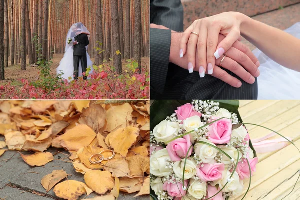 Mooie bruiloft collage — Stockfoto