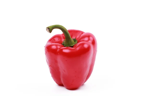 Jednu červenou papriku — Stock fotografie