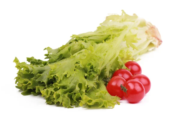 Stock image Tomatoes on a salad lettuce