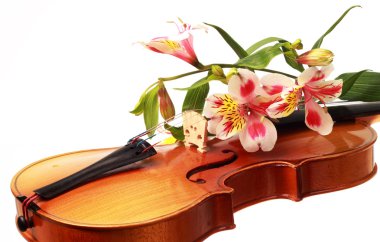 Violin and flowers clipart