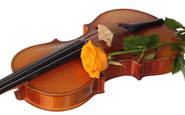 Yellow rose on violin — Stock Photo, Image