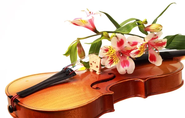 Geige und Blumen — Stockfoto