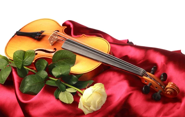 Frische Rose und eine Geige — Stockfoto