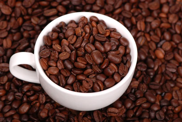 Granos de café en una taza blanca —  Fotos de Stock