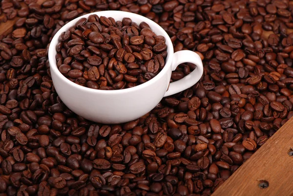 Dark coffee beans — Stock Photo, Image