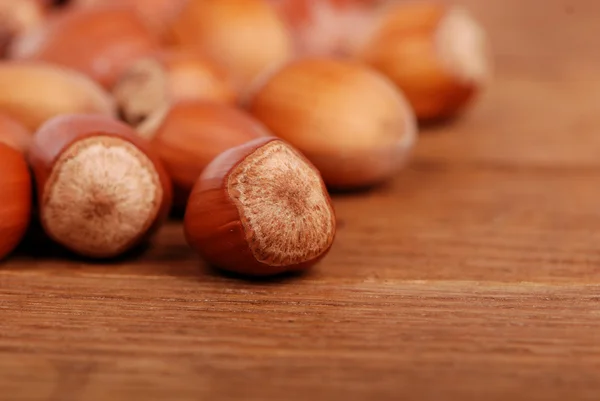 Bruin hazelaar noten — Stockfoto