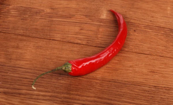 Rode één Spaanse peper — Stockfoto