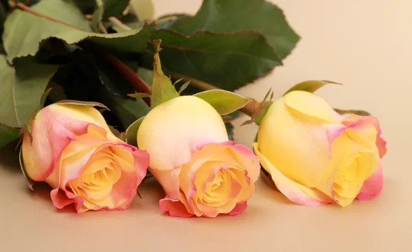 Three yellow roses — Stock Photo, Image
