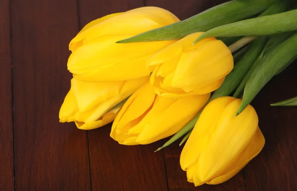 Wiosenne kwiaty tulipany — Zdjęcie stockowe