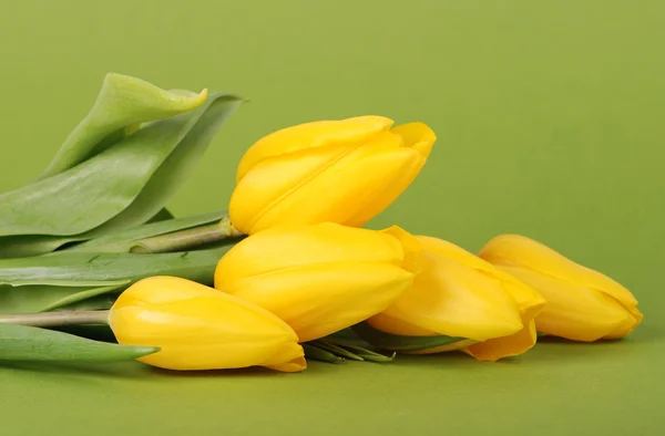 Yellow Tulips — Stock Photo, Image