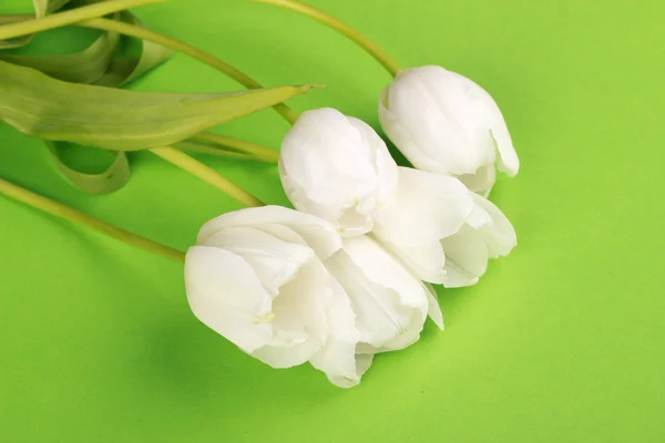 Flor e tulipas brancas frescas — Fotografia de Stock