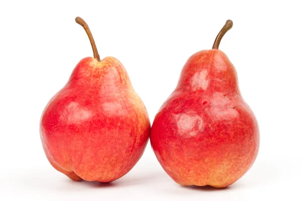 stock image Two red pears