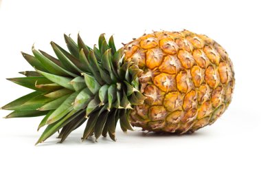 Ripe pineapple clipart