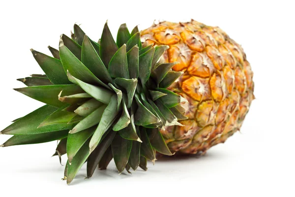 成熟的菠萝 — 图库照片