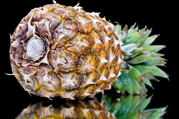 成熟的菠萝用反射 — 图库照片