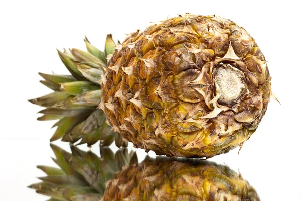 Reife Ananas mit Reflexion — Stockfoto