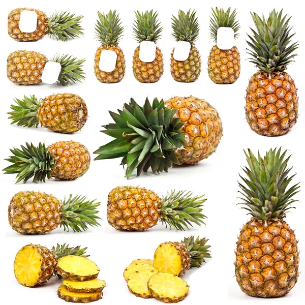 Ananas fra alle sider Stock-billede