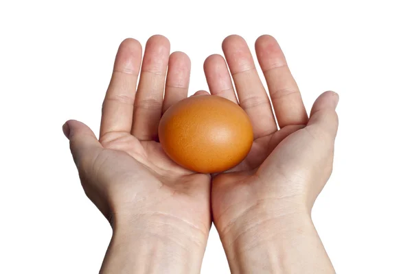 Ägg isolerade över vita — Stockfoto