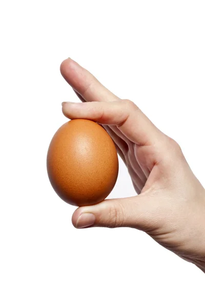 Uovo isolato su bianco Fotografia Stock
