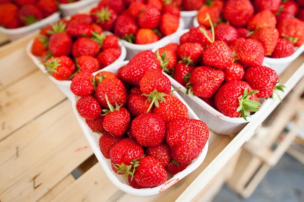 Bauernmarkt-Serie - frische Erdbeeren — Stockfoto