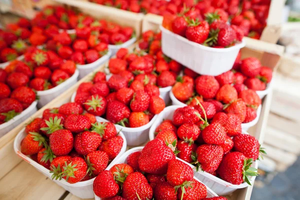 Bauernmarkt-Serie - frische Erdbeeren — Stockfoto