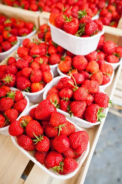 Bauernmarkt-Serie - frische Erdbeeren — Stockfoto