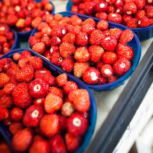 農民市場のシリーズ - 新鮮なイチゴ — ストック写真