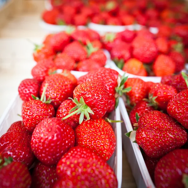 農民市場のシリーズ - 新鮮なイチゴ — ストック写真