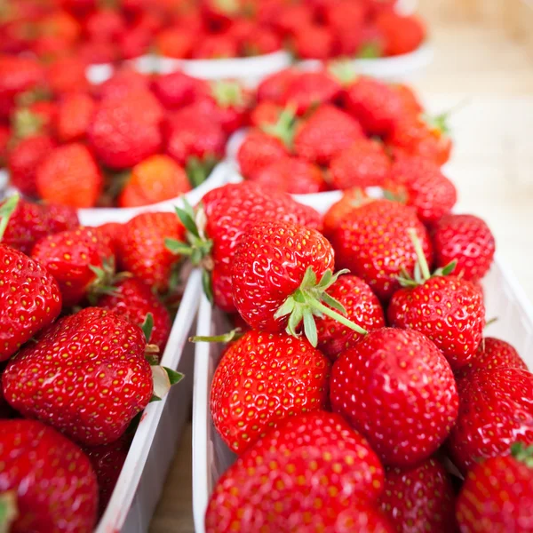 Farmers market series - fresh strawberries — Stock Photo, Image